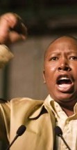 How do you solve a problem like Malema? Part One - Don't feed the trolls